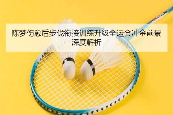陈梦伤愈后步伐衔接训练升级全运会冲金前景深度解析